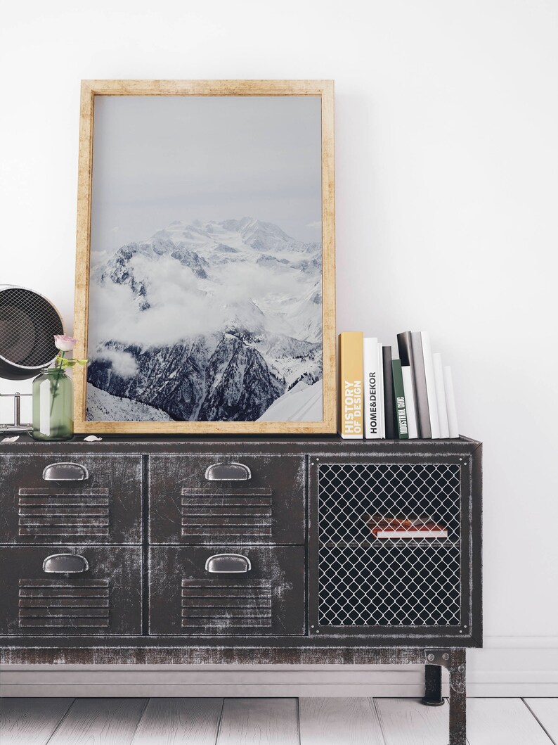 Peut inclure: Un meuble en m&eacute;tal rustique avec deux tiroirs et une porte en grillage. Le meuble est d&eacute;cor&eacute; d'une photographie encadr&eacute;e d'une cha&icirc;ne de montagnes enneig&eacute;e. Un vase avec une fleur rose est pos&eacute; sur le dessus du meuble.