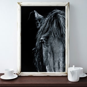 May include: Black and white photograph of a horse's head in a white frame. The horse's eye is visible and the photo is set against a dark background.