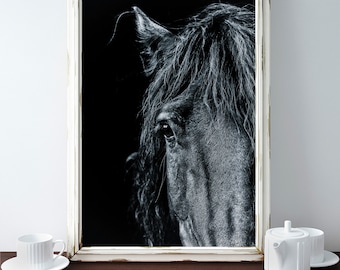 Horse print, PRINTABLE art, Horse photography, Black and white wall art, Art prints, Large wall art, Horse art, Horse decor, Contemporary