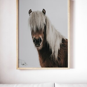 Puede incluir: Impresi&oacute;n enmarcada de un caballo marr&oacute;n con una larga melena blanca. La cabeza del caballo es el punto focal, con sus ojos visibles debajo de la melena que fluye. La impresi&oacute;n est&aacute; en un marco de madera de color claro, creando una est&eacute;tica r&uacute;stica.