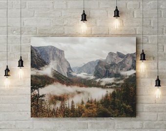 Stampa forestale, Poster forestale, Stampa digitale, Stampa paesaggistica, Arte murale forestale, Stampe fotografiche naturalistiche, Arte scandinava, Foresta nebbiosa, Stampa