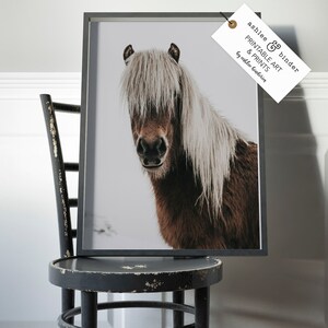 Puede incluir: Una impresi&oacute;n enmarcada de un caballo marr&oacute;n con una larga melena blanca, mirando directamente al espectador. La impresi&oacute;n est&aacute; en un marco negro y tiene una etiqueta que dice "ashlee & binder PRINTABLE ART & PRINTS by ashlee binder."