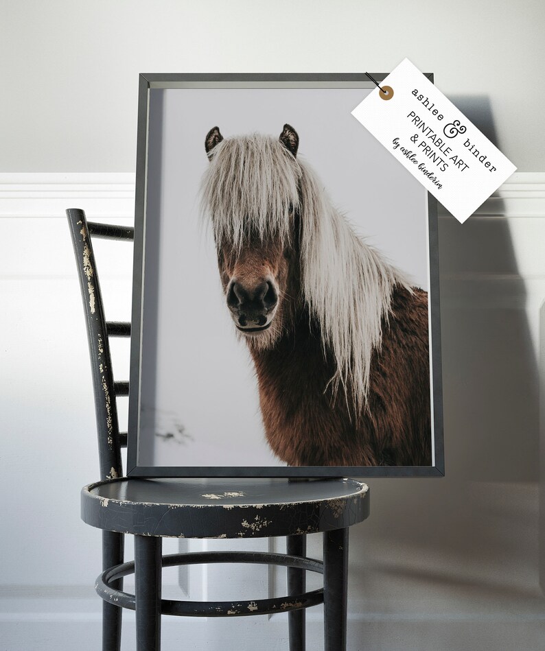 Puede incluir: Una impresi&oacute;n enmarcada de un caballo marr&oacute;n con una larga melena blanca, mirando directamente al espectador. La impresi&oacute;n est&aacute; en un marco negro y tiene una etiqueta que dice "ashlee & binder PRINTABLE ART & PRINTS by ashlee binder."