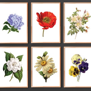 May include: Set of six botanical prints featuring various flowers, including a red poppy, a white daisy, a purple pansy, a white gardenia, a blue hydrangea, and a white rose.