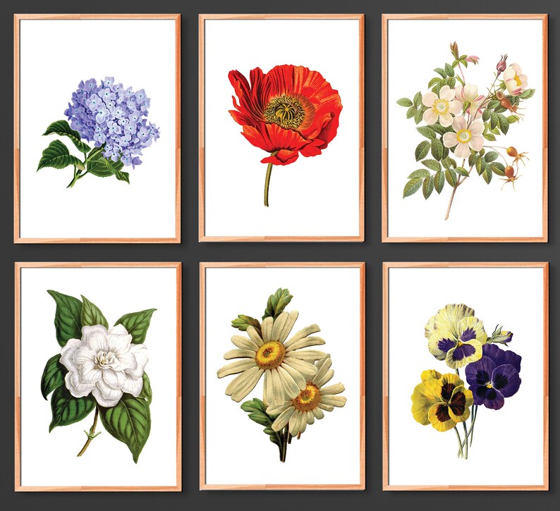 May include: Set of six botanical prints featuring various flowers, including a red poppy, a white daisy, a purple pansy, a white gardenia, a blue hydrangea, and a white rose.