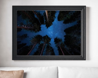 Tree photograph, starry night sky, Blue wall decor, celestial stars, woodland, Pine tree wall art, Night Sky Photography, Star Photo, Decor