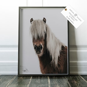 Puede incluir: Impresi&oacute;n enmarcada de un caballo marr&oacute;n con una larga melena blanca. La melena del caballo cubre sus ojos. La impresi&oacute;n est&aacute; en un marco negro e incluye una etiqueta que dice "ashlee & binder PRINTABLE ART & PRINTS by ashlee bandarin."