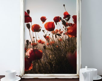 Papaveri arancioni, decorazioni floreali, arte da parete botanica, decorazioni per la casa con papaveri, campo di papaveri, arte moderna per la decorazione della casa, fotografia di fiori di papavero, arte floreale