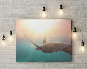 Sea Turtle Photograph, Turtle Art, Sea Turtle, Seascape, Art Print, Beach Decor, Ocean Art, Corals,Underwater, Sea Digital Download, Sea Art