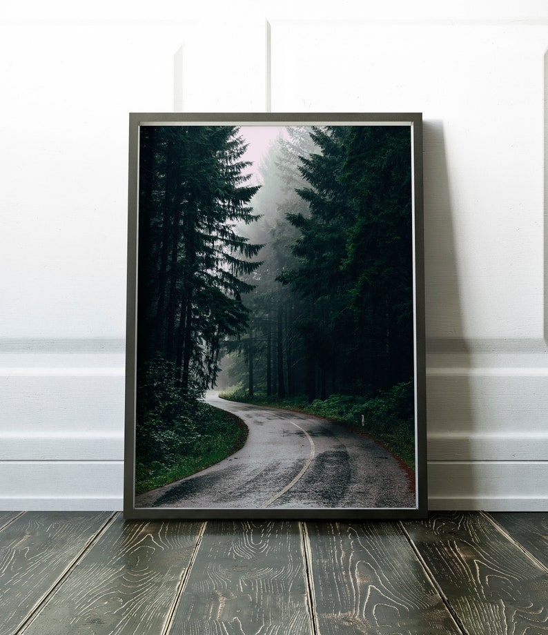 Foggy Forest Road Printable, Misty Woodland Wall Art, Wilderness Poster, Landscape Decor Forest Photography Downloadable Print Printable Art image 1