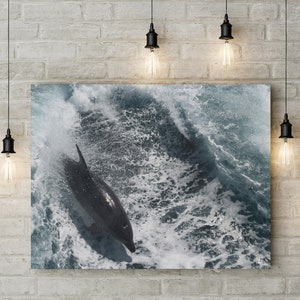 DOLPHIN PRINT, Printable Wall Art, Ocean Decor, Cali Print, Ocean Photography, Dolphin Photo, Instant Download, Beach House Decor, Digital