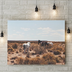 Desert Horses Photography, Horse Decor, Desert Horse Landscape, Wall Art Print, Color Photography, Digital Download, Printable Minimal Art