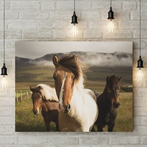 May include: Three horses standing in a field. The horse in the foreground is white and brown with a long mane. The horse in the middle is brown and white. The horse in the background is black. The horses are standing in a field with green grass and a mountain range in the background.