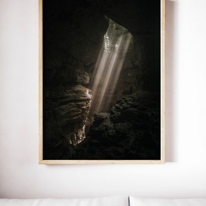 Waldfotografie Bäume im Wald Sonnenlicht Natur Landschaft Naturfotografie Home Decor Wall Decor Wald digitaler Kunstdruck Poster Dekor