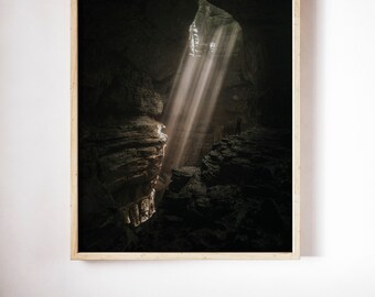 Forest Photography Trees in Forest Sunlight Nature Landscape Nature Photography Home Decor Wall Decor Forest digital art print poster decor