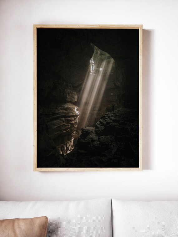 Forest Photography Trees in Forest Sunlight Nature Landscape Nature Photography Home Decor Wall Decor Forest digital art print poster decor