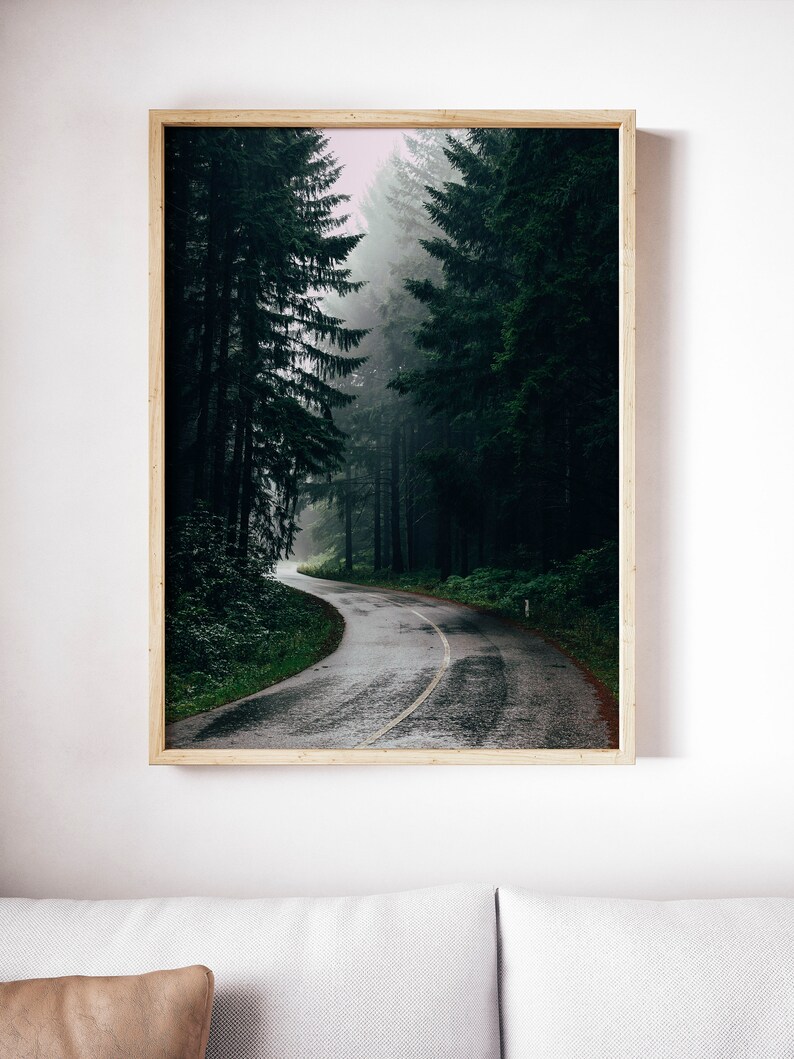 Foggy Forest Road Printable, Misty Woodland Wall Art, Wilderness Poster, Landscape Decor Forest Photography Downloadable Print Printable Art image 7