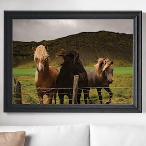 May include: Framed print featuring three horses in a field. The horses have flowing manes in shades of brown, black, and grey. They stand behind a wire fence with a green field and a mountainous backdrop.
