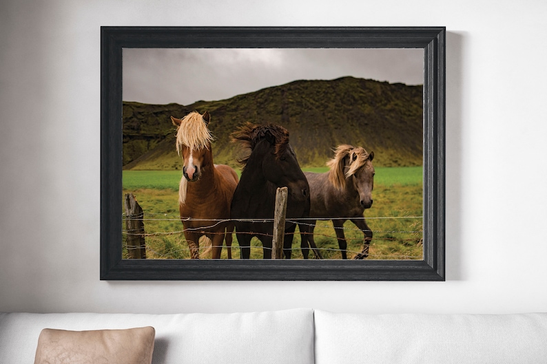 May include: Framed print featuring three horses in a field. The horses have flowing manes in shades of brown, black, and grey. They stand behind a wire fence with a green field and a mountainous backdrop.