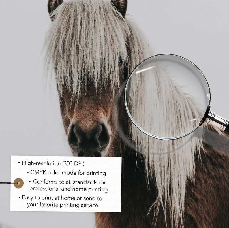 Puede incluir: Primer plano de un caballo marr&oacute;n y blanco con una larga melena. Una lupa se coloca sobre la melena, resaltando la textura. La imagen incluye texto que indica impresi&oacute;n de alta resoluci&oacute;n y modo de color CMYK.