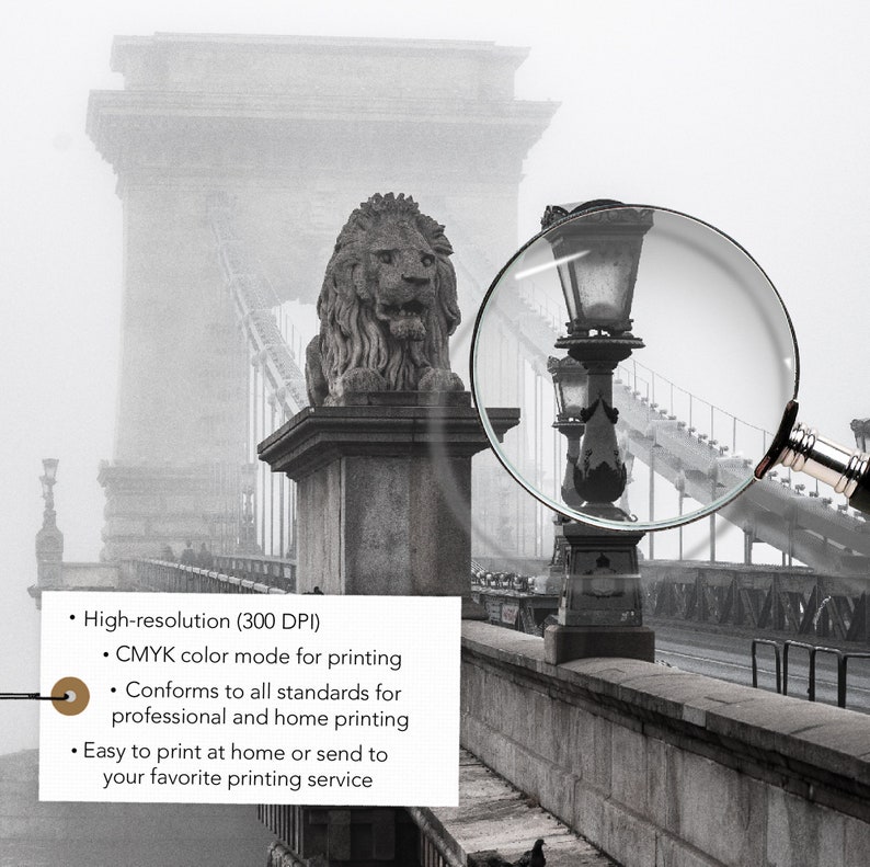 May include: A black and white photo of a bridge with a lion statue and streetlights. The photo is taken through a magnifying glass, which highlights the details of the streetlights.