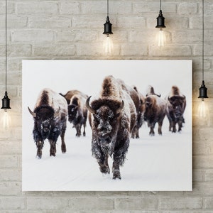 Bison Print, Buffalo Print, Bison Wall Art, Nursery Decor, Nursery Art, Nursery Wall Art, Kids Room Decor, Bison Poster Art, Buffalo Art
