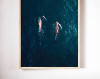 Impresión de delfines, impresión oceánica, fotografía oceánica, impresión artística oceánica, impresión digital, impresión náutica, impresiones para dormitorio infantil, decoración de pared para dormitorio infantil