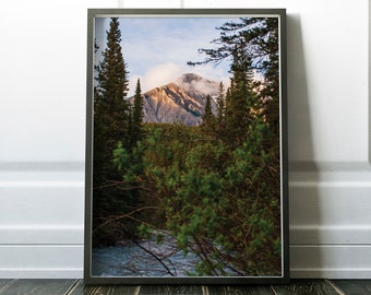 Forest print, tree print, Printable Photography, Printable Tree Print, Wall Decor, Nature Decor, Forest, Pine Tree Photo, nature wall Decor