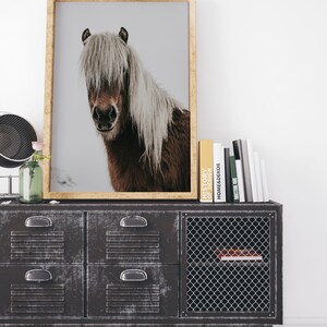 Puede incluir: Una impresi&oacute;n enmarcada de un caballo marr&oacute;n con una larga melena blanca. La obra de arte se exhibe en un mueble met&aacute;lico envejecido con cajones y una puerta de malla met&aacute;lica. Tambi&eacute;n se ve un jarr&oacute;n con una flor rosa y una pila de libros.