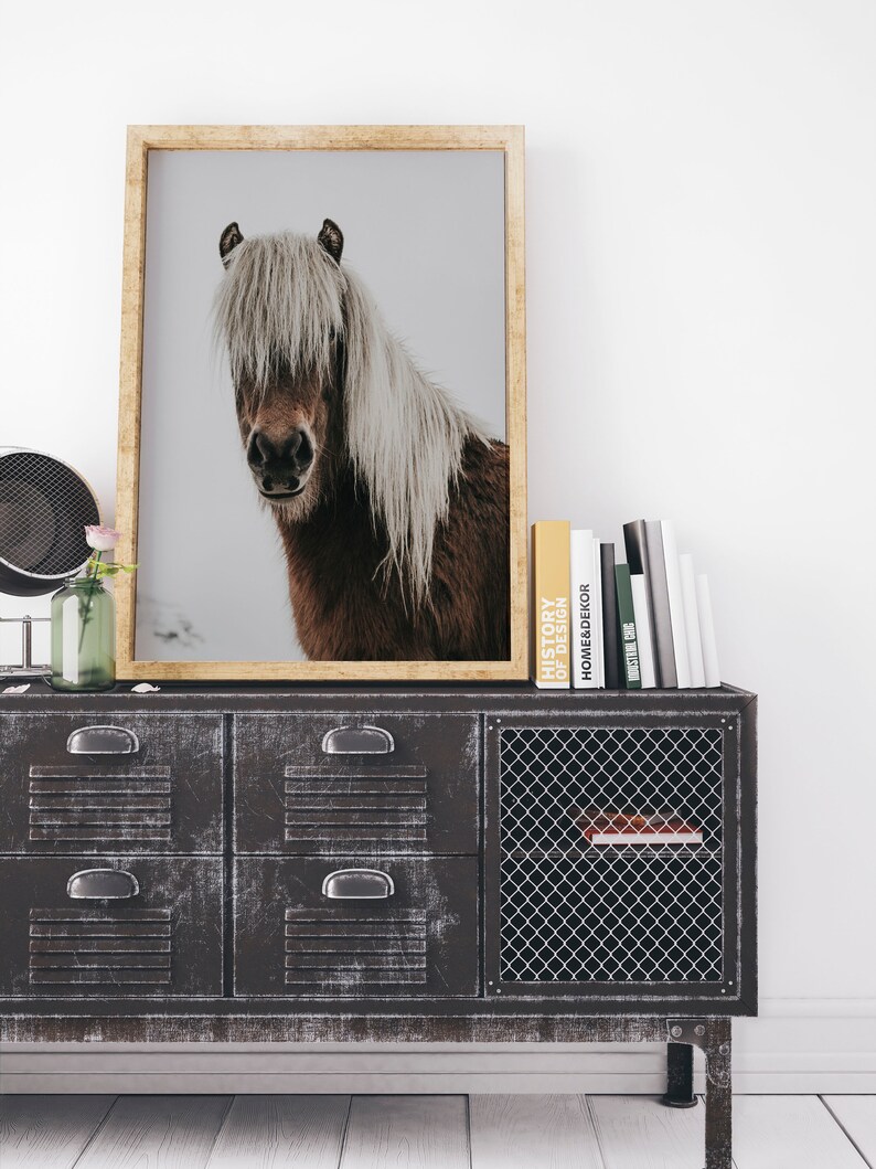Puede incluir: Una impresi&oacute;n enmarcada de un caballo marr&oacute;n con una larga melena blanca. La obra de arte se exhibe en un mueble met&aacute;lico envejecido con cajones y una puerta de malla met&aacute;lica. Tambi&eacute;n se ve un jarr&oacute;n con una flor rosa y una pila de libros.