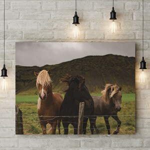 May include: A canvas print featuring three horses in a field with a mountain backdrop. The horses are brown, black, and grey, with flowing manes. The scene is framed by a wooden fence and a cloudy sky.