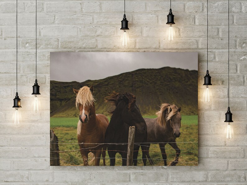 May include: A canvas print featuring three horses in a field with a mountain backdrop. The horses are brown, black, and grey, with flowing manes. The scene is framed by a wooden fence and a cloudy sky.
