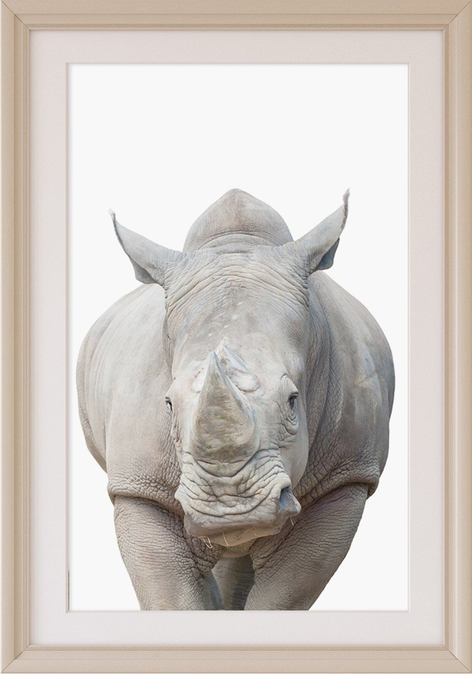 Rhino print Rhinoceros PRINTABLE art Safari animals wall - Etsy España