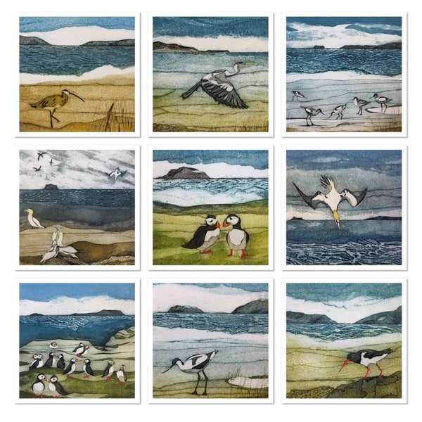 LUCKY DIP -  10 Seabird cards using images by printmaker, Sarah Ross-Thompson