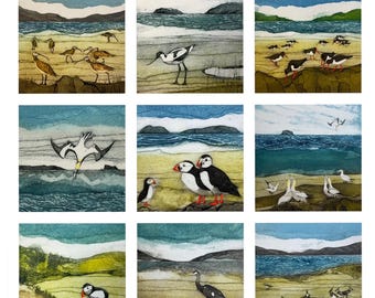 Seabird Greetings Cards Lucky Dip