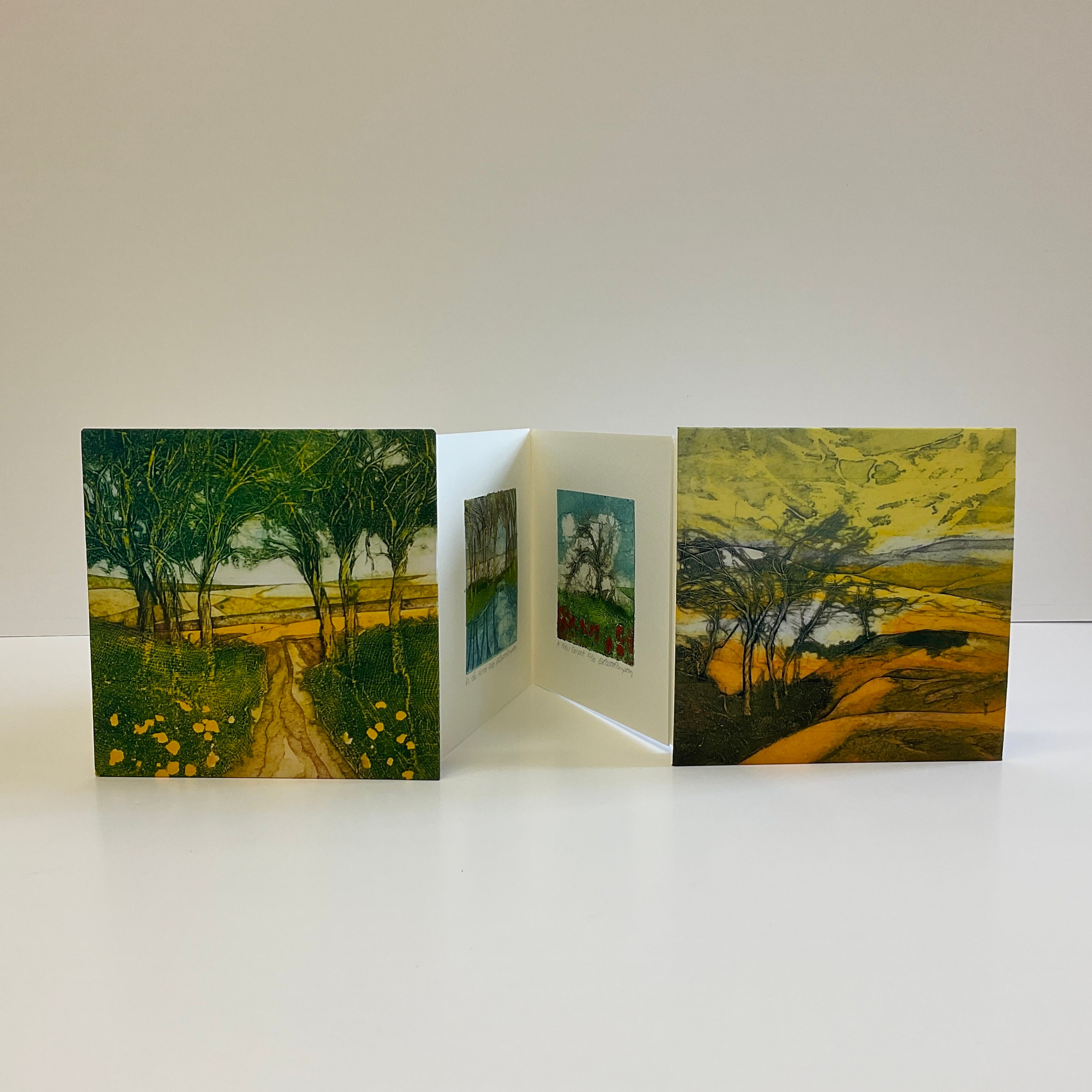 Concertina Artist Book No. 8 Etsy