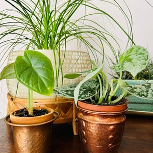 Copper Flower Pot, Vintage Raised Detail Indoor Planter - Small Succulent Size, Cactus Holder