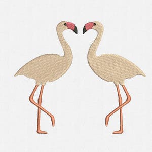Flamingo Frame Monogram Machine Embroidery Design - 1 Size