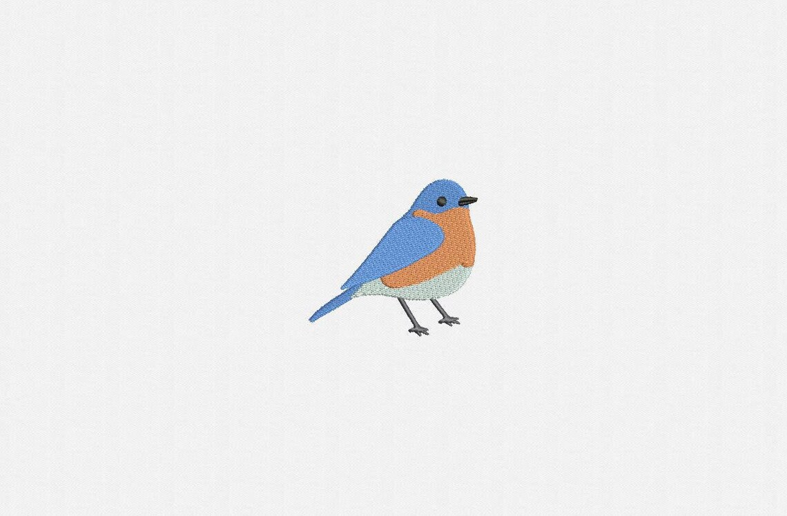 Eastern bluebird machine embroidery design 3 sizes  etsy