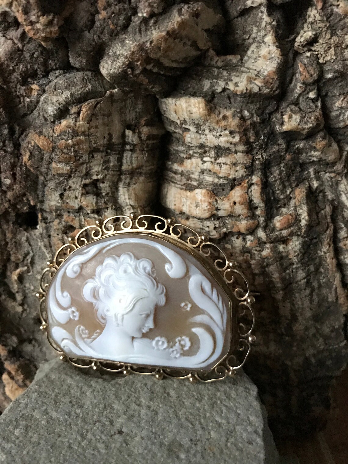 A Striking and Unusual Cameo Brooch SKU2339 Etsy