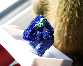 Fine Blue Azurite Cuprite Malachite Mineral Specimen