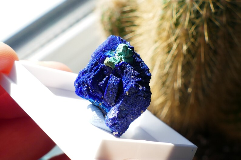 Spécimen minéral fin bleu azurite cuprite malachite image 1