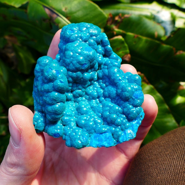 Raro esemplare di crisocolla blu ~ Colori superbi dal Congo