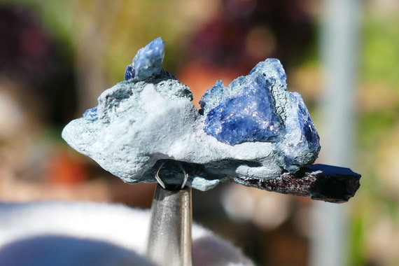 Extremely Rare Benitoite and Neptunite Crystal in Matrix 11.95