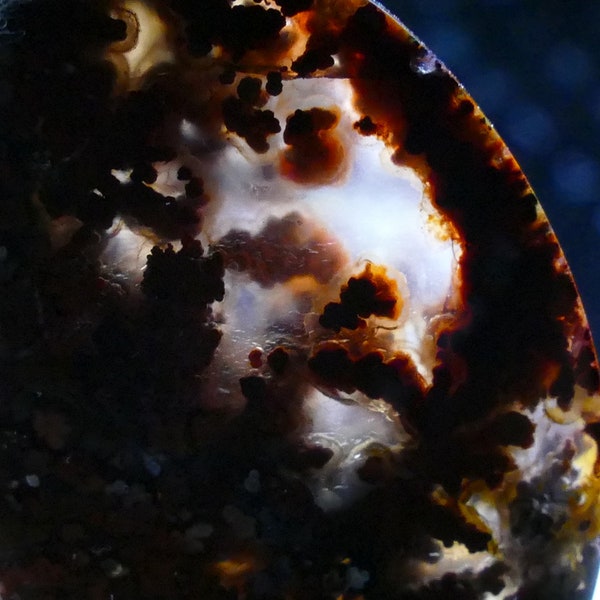 31.8 Red Plume Agate Cabochon from Indonesia  AAA