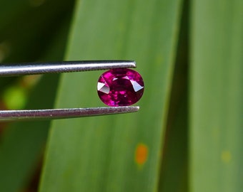 Pierre gemme de grenat de 1,56 carat - taille ovale de grenat de raisin violet