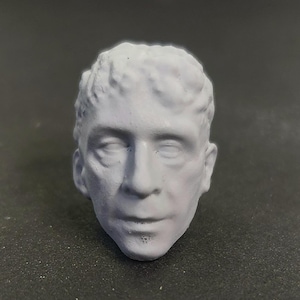 Escultura de cabeza personalizada a escala 1:12 inspirada en Tim Blake Nelson - Cabeza de figura de acción personalizada de 6&quot; - El Líder
