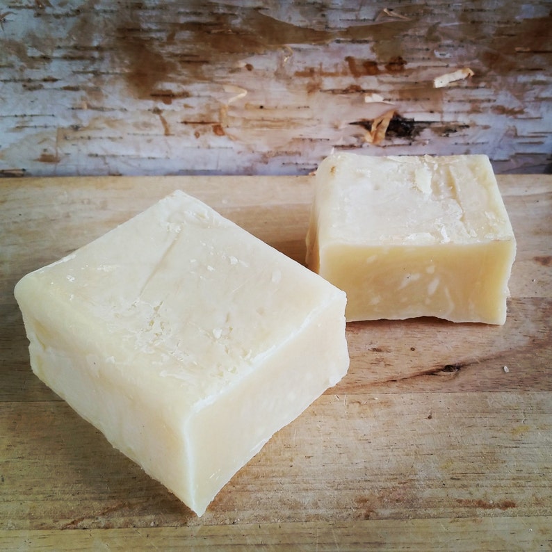 Natural Horse Shampoo Neigh Bar Etsy
