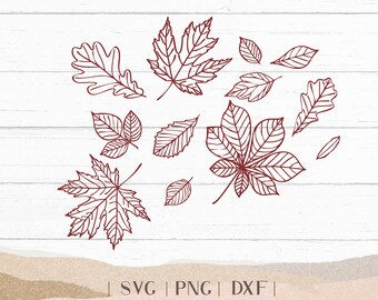Fall Leaves SVG DXF - Thanksgiving Cut File - Fall Leaf Design - Hand Drawn Leaves - Fall - Clipart - Tshirt Design