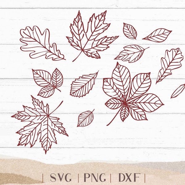 Fall Leaves SVG DXF - Thanksgiving Cut File - Fall Leaf Design - Hand Drawn Leaves - Fall - Clipart - Tshirt Design